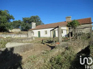 Farm at São Salvador da Aramenha