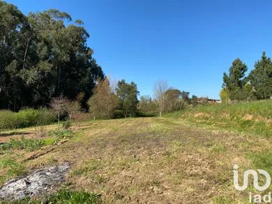 Terreno em Oiã