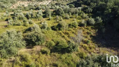 Terreno  em Areias e Pias