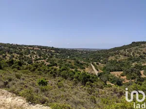 Terreno rústico em Loulé (São Sebastião)