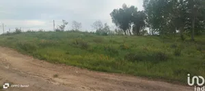 Terreno urbano  em Santo isidoro e livração