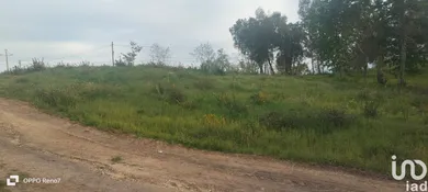 Terreno urbano  em Santo isidoro e livração