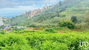 Land  at Santo António
