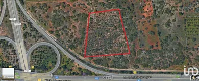 Terreno em Santa Bárbara de Nexe