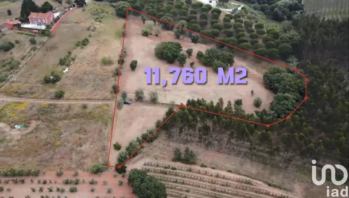 Terreno de 11 760 m² em Peral