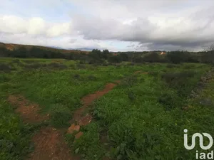 Terreno  em Mexilhoeira Grande