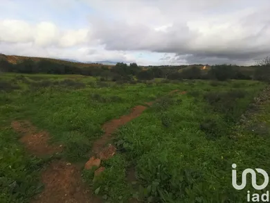 Terreno  em Mexilhoeira Grande
